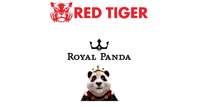 Red Tiger Entra Ao Vivo com Acerto com Royal Panda
