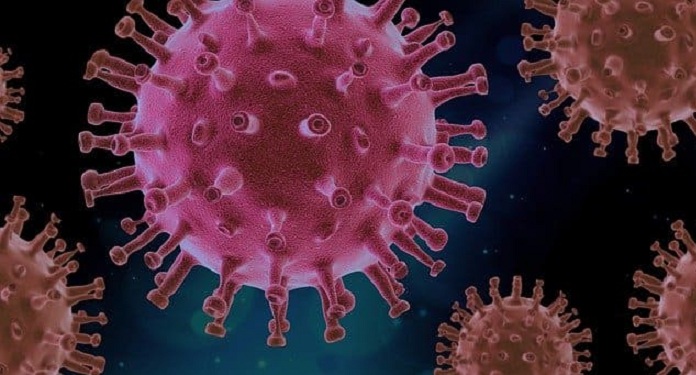 Sites Ilegais na Índia Apostam em Número de Mortos pelo Coronavírus
