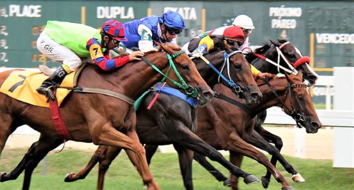 Jockey Club Brasileiro increases Pick 7 bonus and excites bettors this year