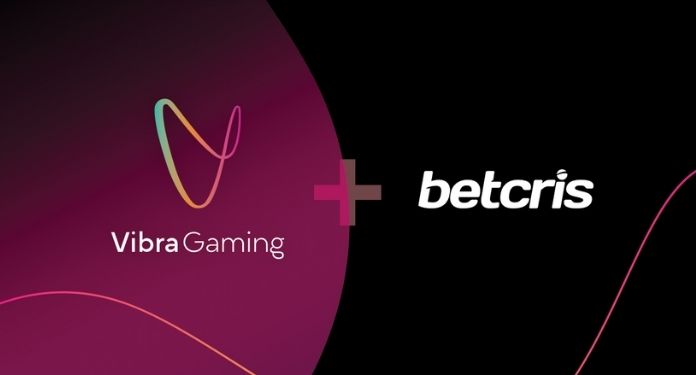 Betcris-anuncia-parceria-com-a-Vibra-Gaming-para-fortalecer-sua-presenca-na-America-Latina.jpg