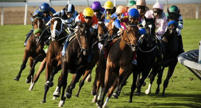 XB-Net-and-Codere-renew-partnership-betting-on-turf-for-the-Spanish-market-1.png