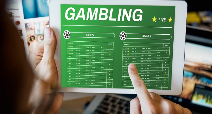 From entertainment to profit the profiles of gamblers and their motivations