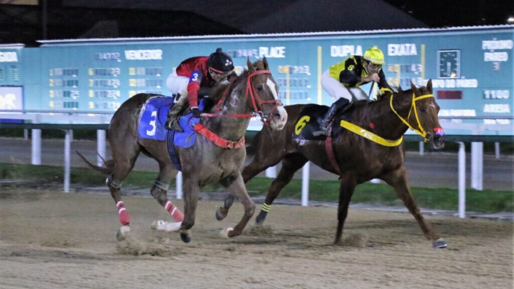 Hipodromo-da-Gavea-completa-100-anos-e-recebe-GP-Brasil-2026-maior-corrida-de-cavalos-do-turfe-nacional